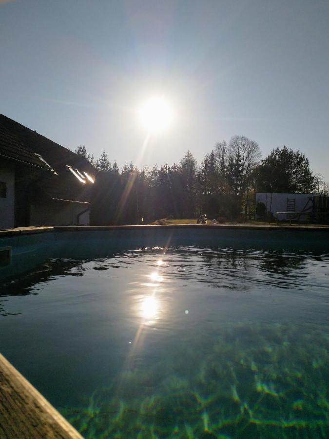 Camping & Guest House Pliskovice Mirovice Buitenkant foto