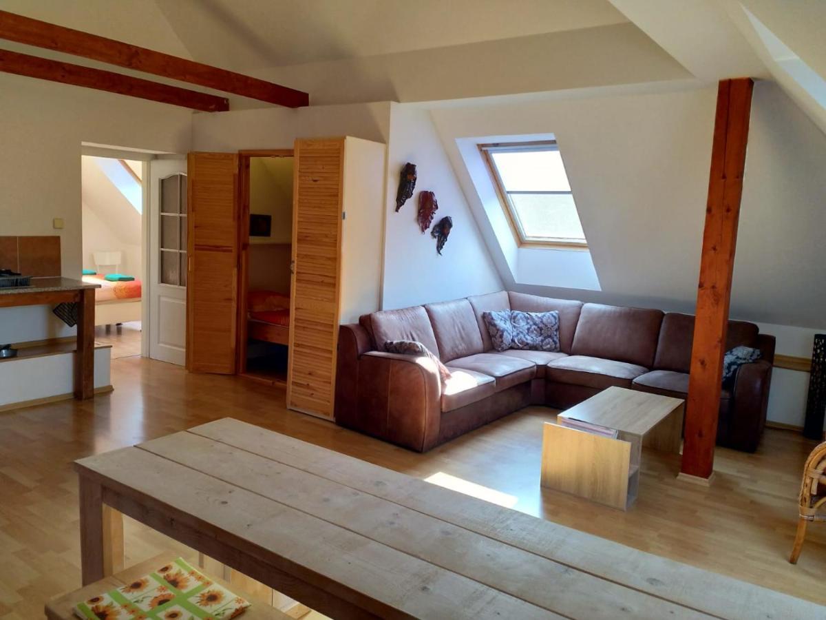 Camping & Guest House Pliskovice Mirovice Buitenkant foto