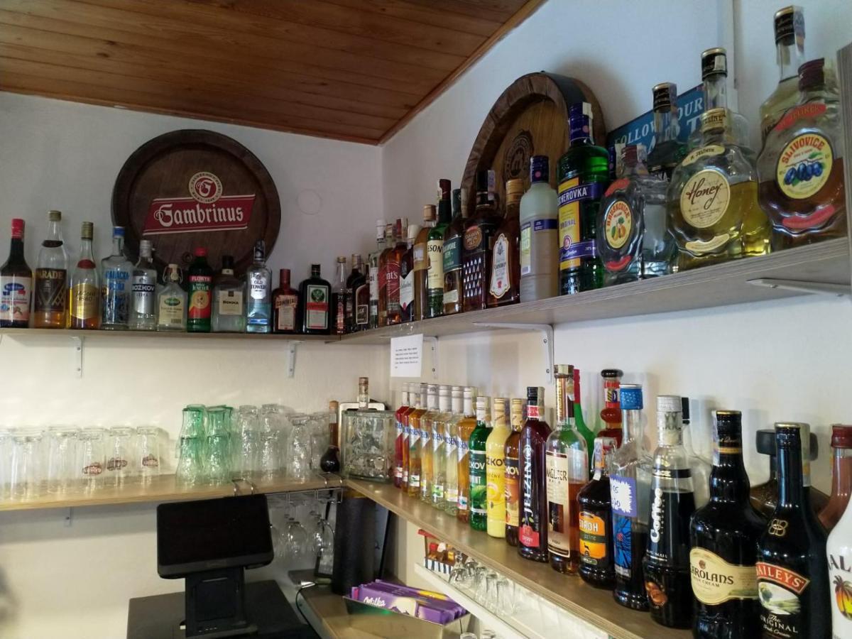 Camping & Guest House Pliskovice Mirovice Buitenkant foto