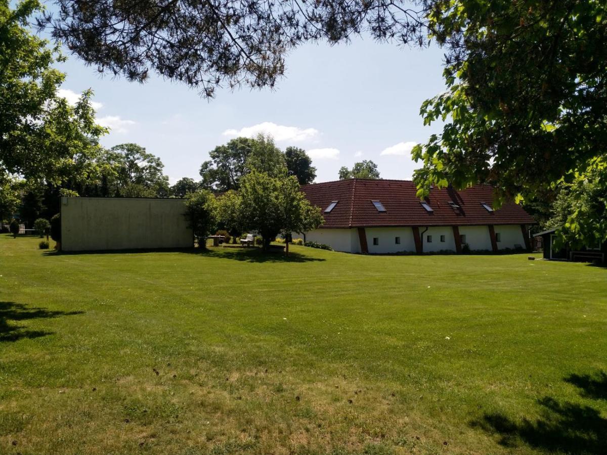 Camping & Guest House Pliskovice Mirovice Buitenkant foto