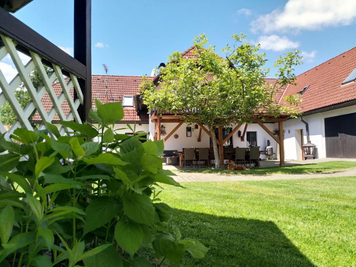 Camping & Guest House Pliskovice Mirovice Buitenkant foto