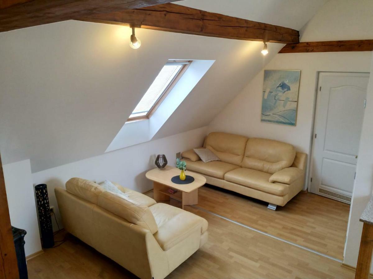 Camping & Guest House Pliskovice Mirovice Buitenkant foto